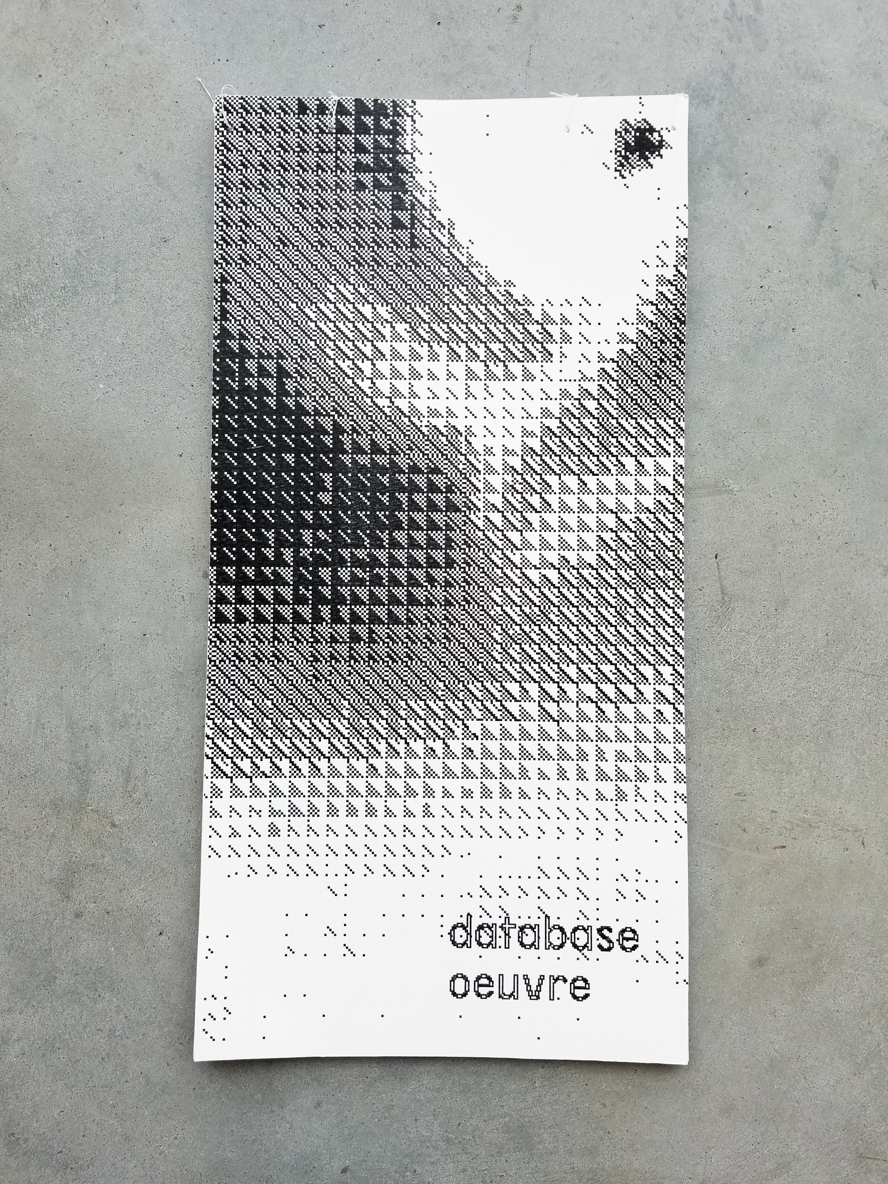 The cover of the book, which seems very tall. It has a black and white graphic that is both digital and organic looking above the title which says 'database ouevre'.